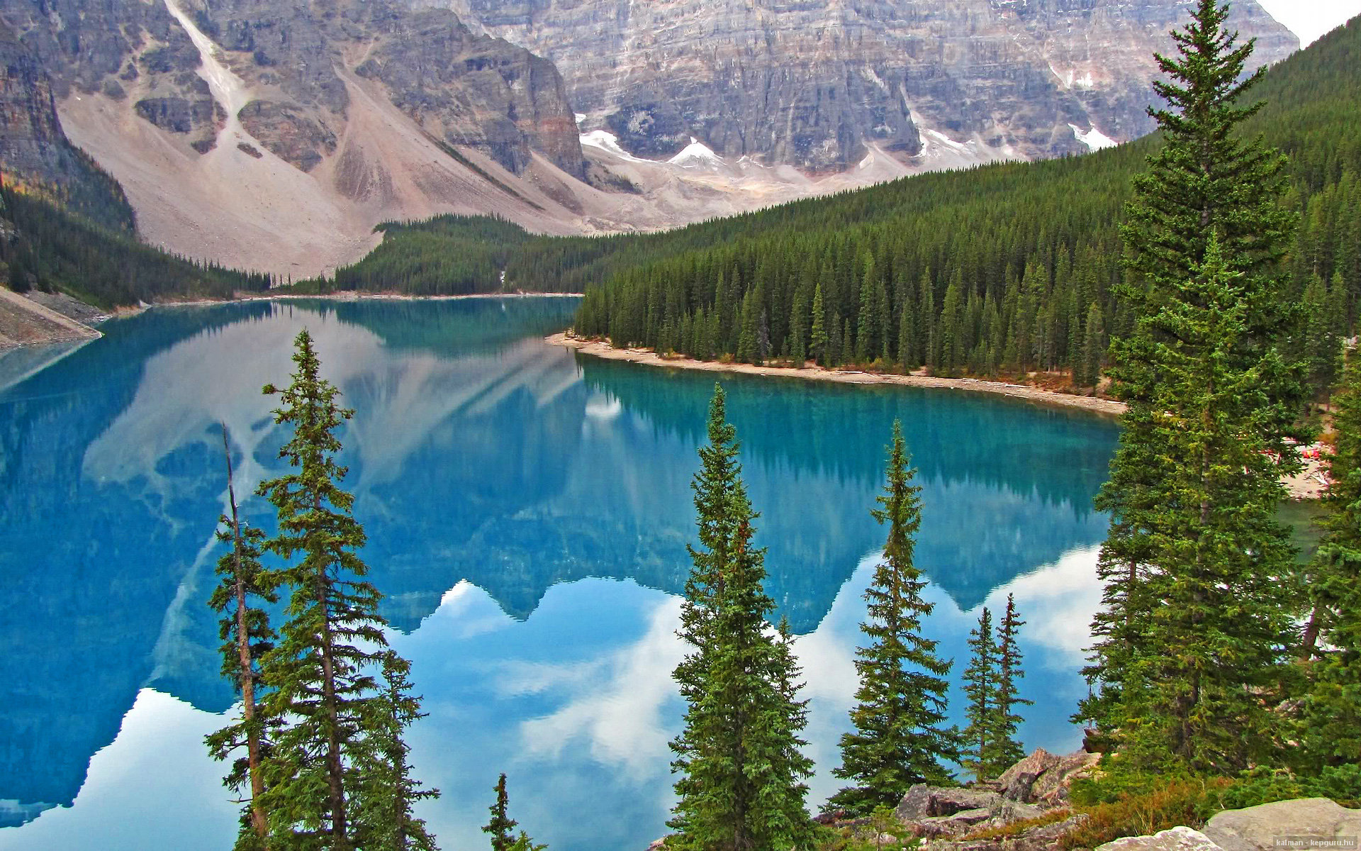 WRC车队布局:未来车队棋局逐渐展开,wrc哪个车队厉害