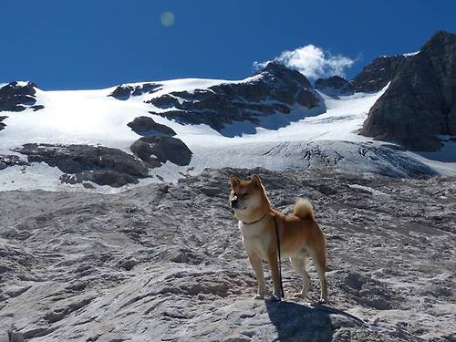 爱游戏体育（AYX）官方APP下载-_丝绸之路体育盛会：文化融合的世界舞台_，丝绸之路体育项目