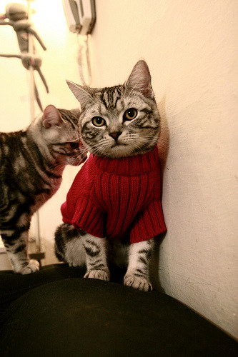 _热火队铁血防守,锁定重要比赛胜局_,热火队伍