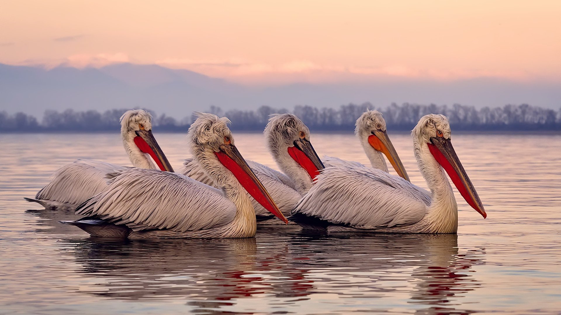 爱游戏娱乐-“弯道飞舞：漂移技巧的极致演绎”，弯道漂移为什么要打反方向