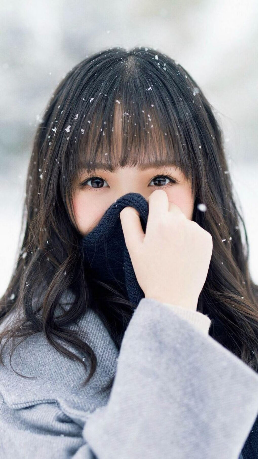 【国际赛事】代表队在世界棒球锦标赛中的表现，世界棒球协会