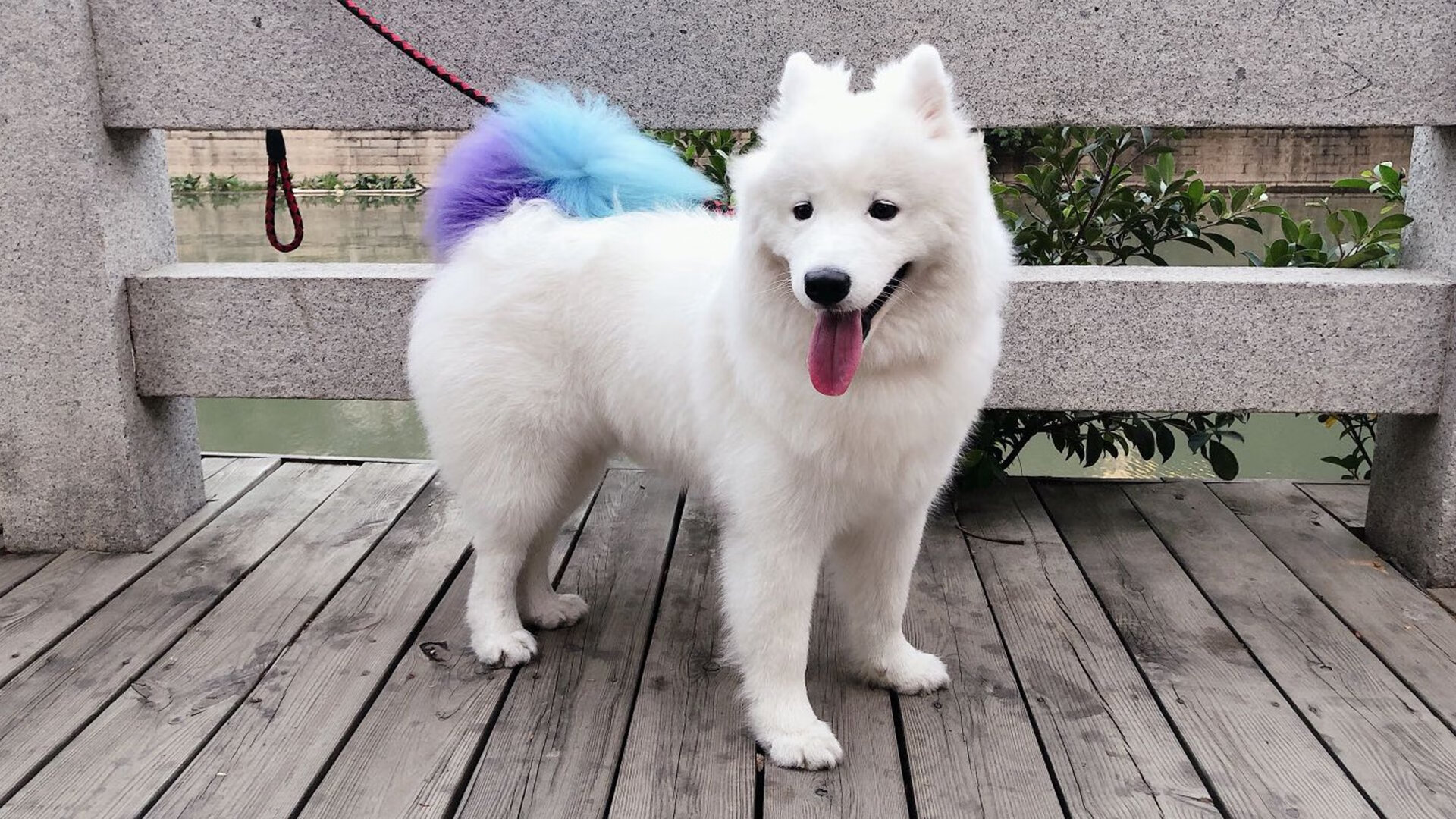 爱游戏 电竞-印象赛：夜空灯光照耀下的梦幻赛事